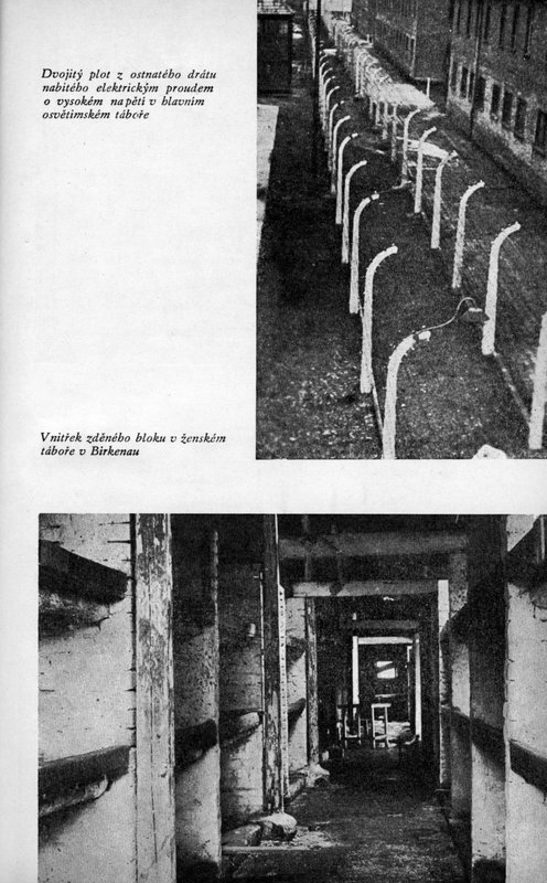 Image 709.jpg