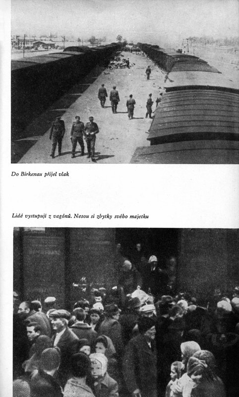 Image 735.jpg