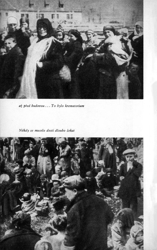 Image 757.jpg
