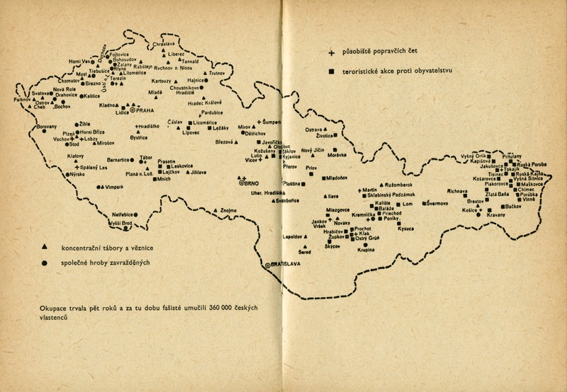 Image 133.tif