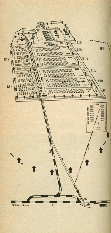 Image 24.tif