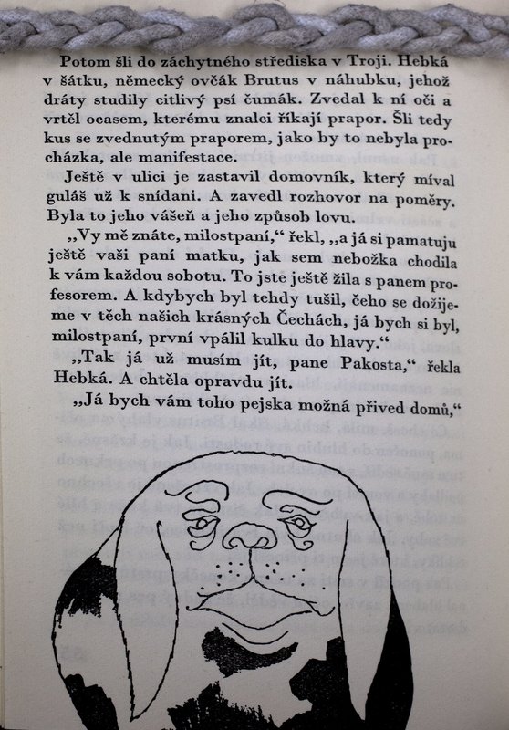 Image 680.jpg