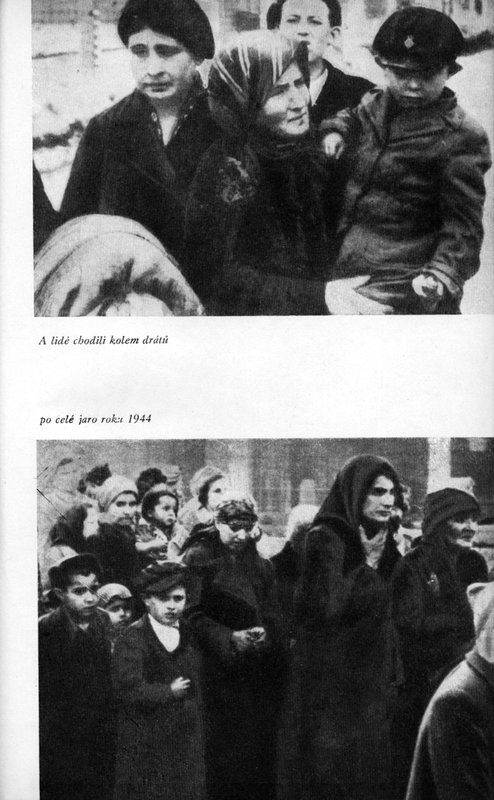 Image 754.jpg