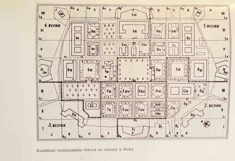 Image 504.jpg