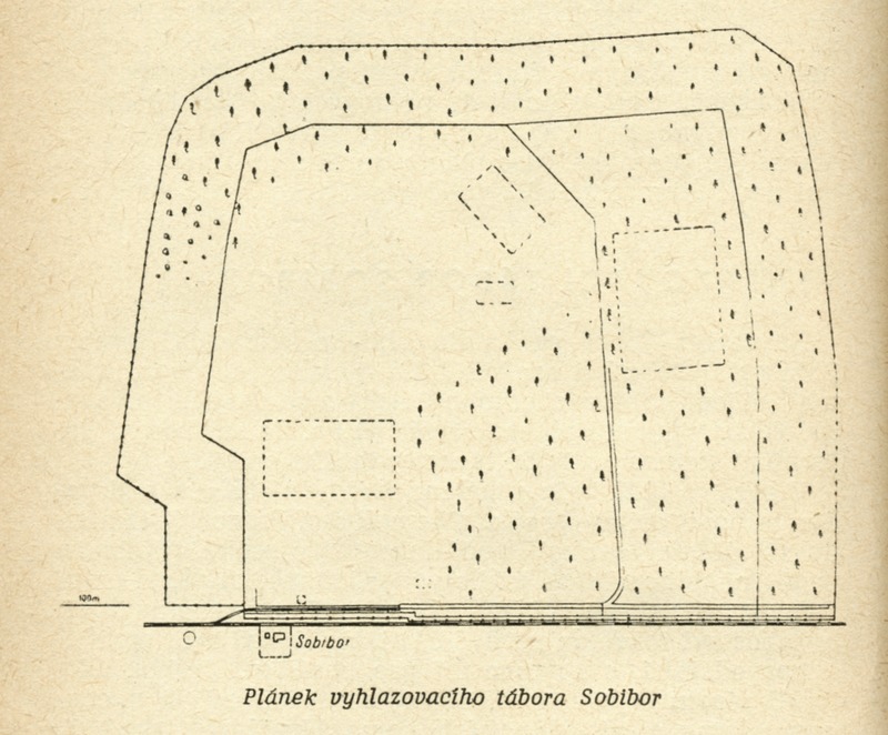 Image 330.tif