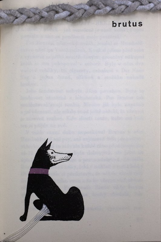 Image 676.jpg