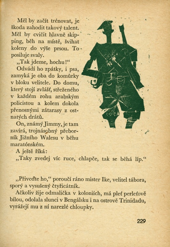 Image 100.tif