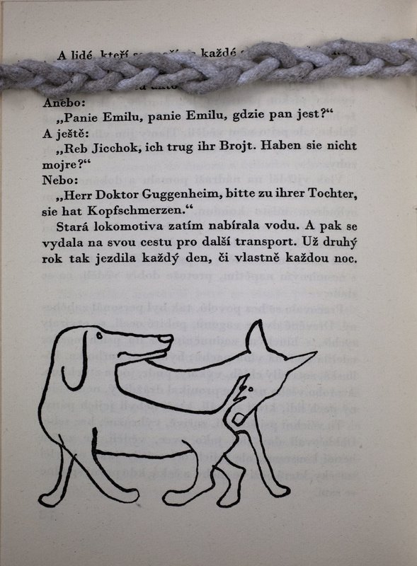 Image 686.jpg