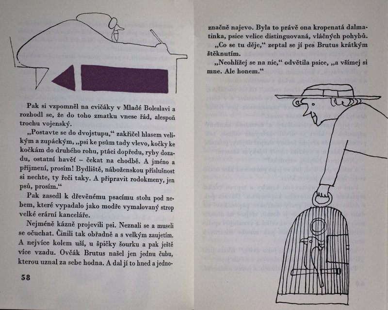Image 681.jpg