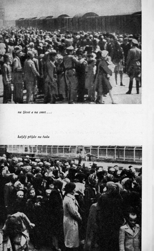 Image 740.jpg