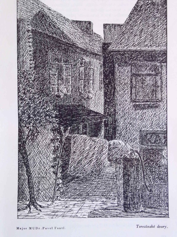 Image 482.jpg