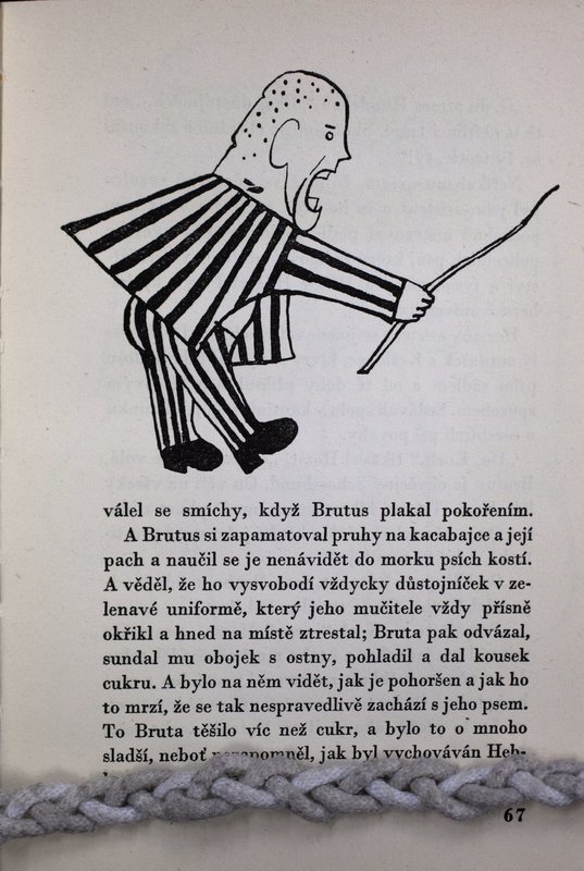 Image 684.jpg