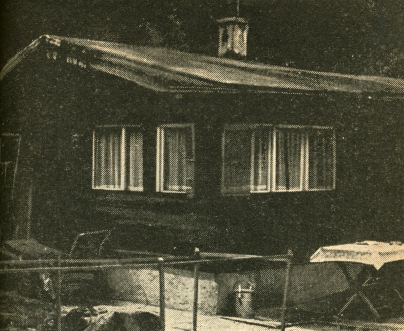 Image 33.tif
