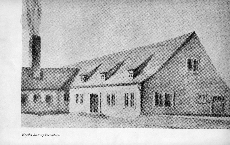 Image 719.jpg
