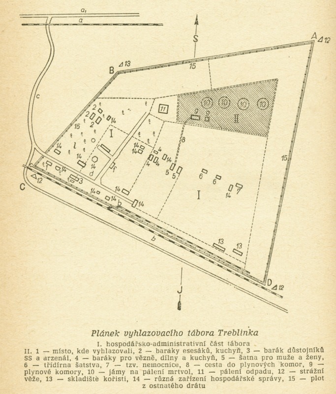 Image 331.tif