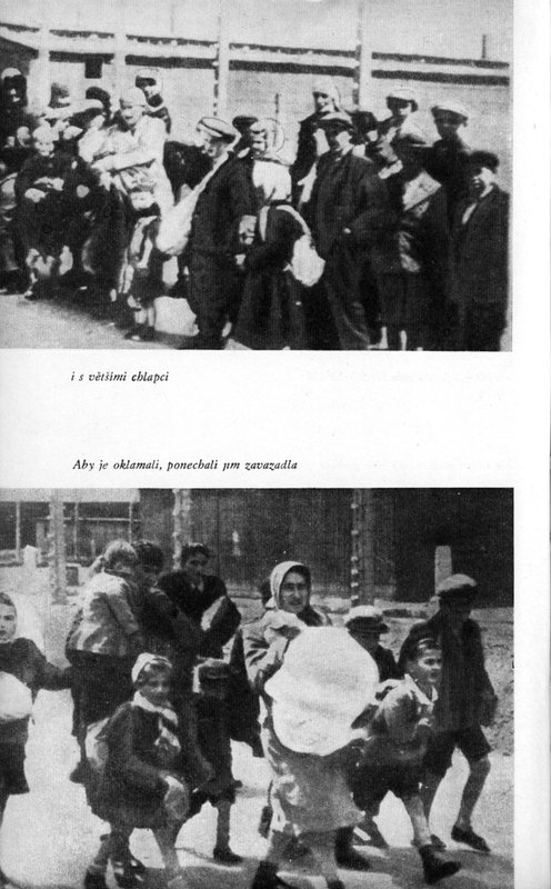 Image 753.jpg
