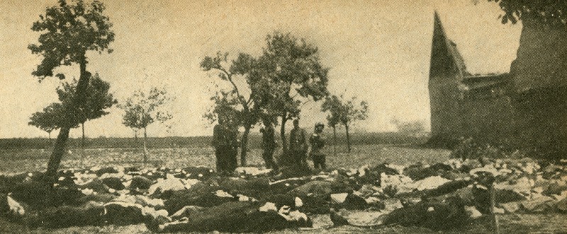 Image 15.tif