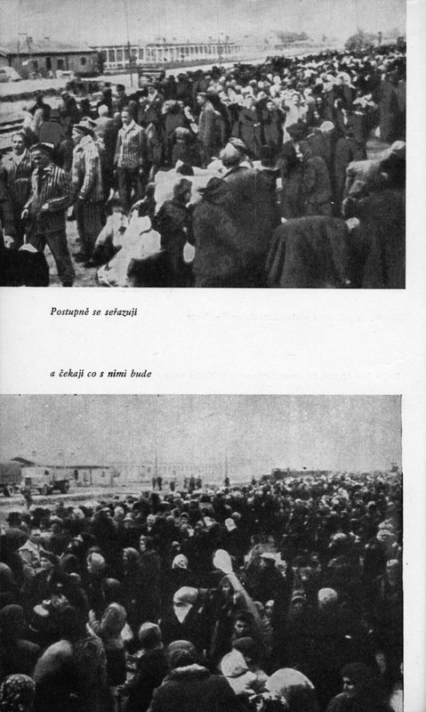 Image 738.jpg