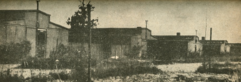 Image 19.tif