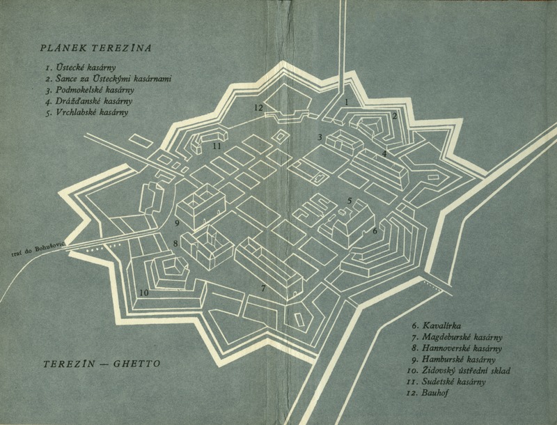 Image 161.tif