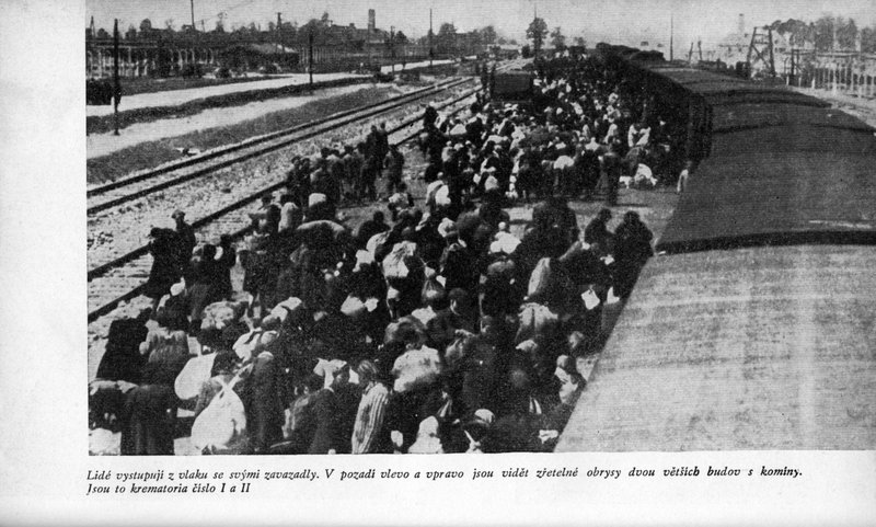 Image 736.jpg