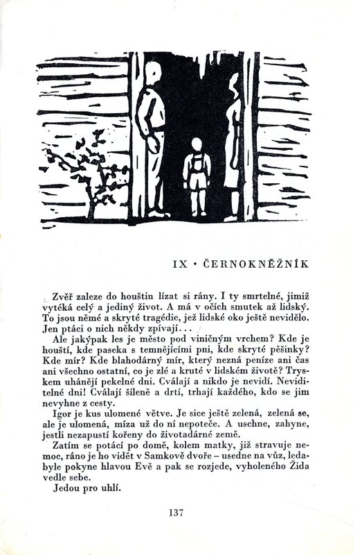Image 632.jpg