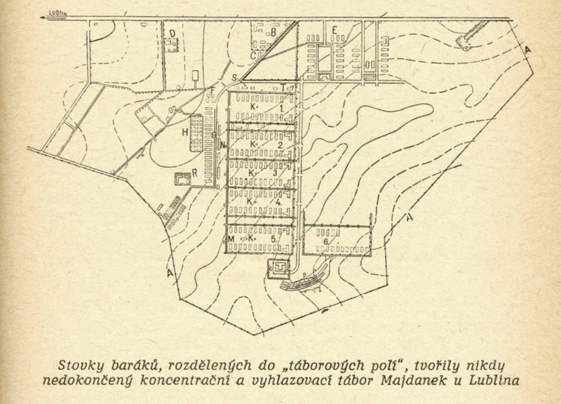 Image 333.tif