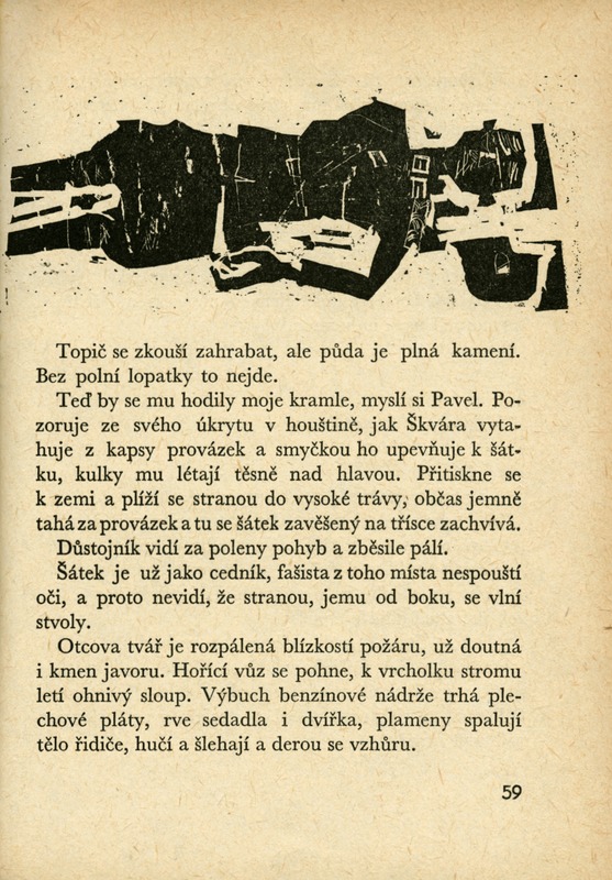 Image 82.tif