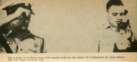 Image 197.tif