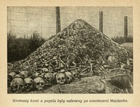 Image 336.tif