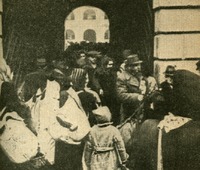 Image 16.tif