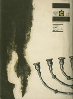 Image 137.tif