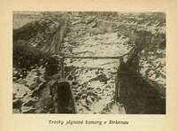 Image 411.tif