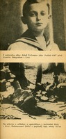 Image 184.tif