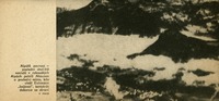 Image 194.tif