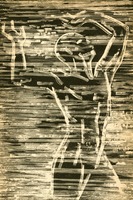 Image 321.tif