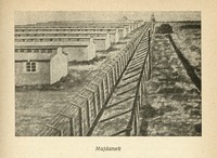 Image 332.tif