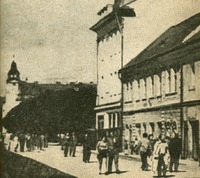 Image 14.tif