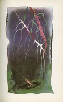 Image 58.tif