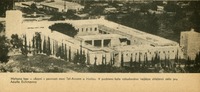 Image 196.tif