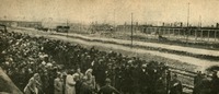 Image 18.tif