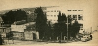 Image 199.tif