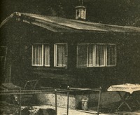 Image 33.tif