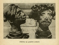 Image 365.tif