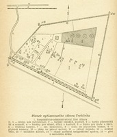 Image 331.tif