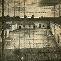 Image 13.tif