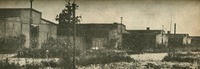 Image 19.tif