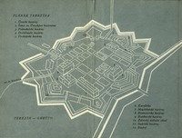 Image 161.tif