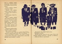 Image 87.tif