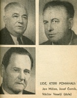 Image 30.tif